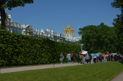 dsc_0051 dsc_0051