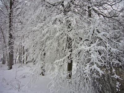 0_308ef_6b9758b2_orig