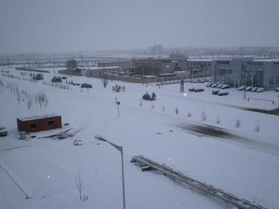 user_2664_primavera_a_chelny