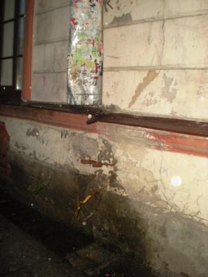 user_87_3_1244890272_768408