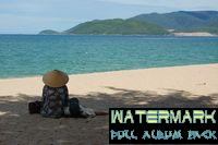 Tn Dsc 0590 Tn Dsc 0590